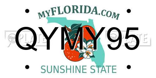 QYMY95 Florida License Plate