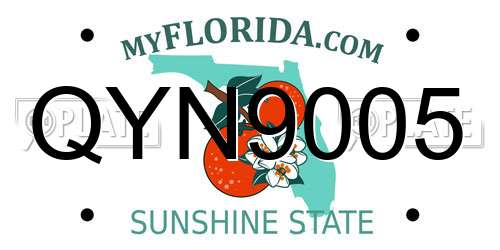 QYN9005 Florida License Plate