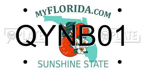 QYNB01 Florida License Plate