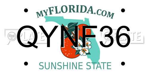 QYNF36 Florida License Plate