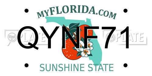 QYNF71 Florida License Plate