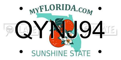 QYNJ94 Florida License Plate
