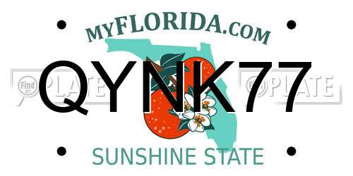 QYNK77 Florida License Plate