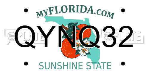 QYNQ32 Florida License Plate