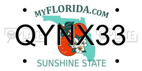 QYNX33 Florida License Plate