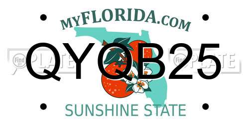 QYQB25 Florida License Plate
