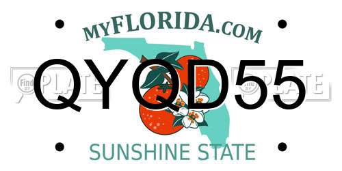 QYQD55 Florida License Plate