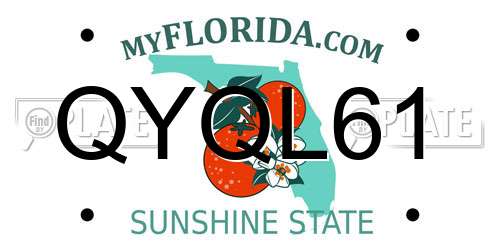 QYQL61 Florida License Plate