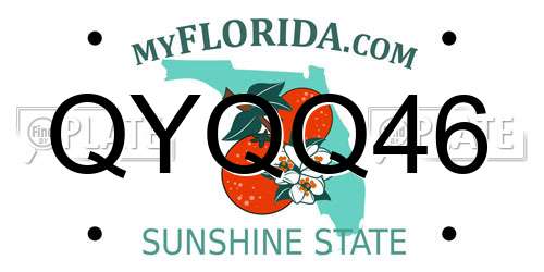 QYQQ46 Florida License Plate