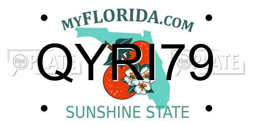 QYRI79 Florida License Plate