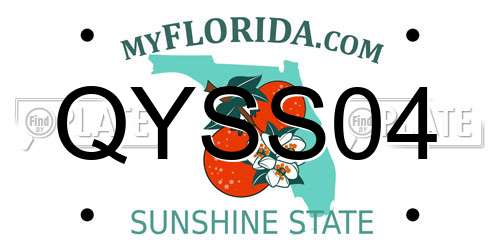 QYSS04 Florida License Plate