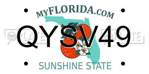 QYSV49 Florida License Plate