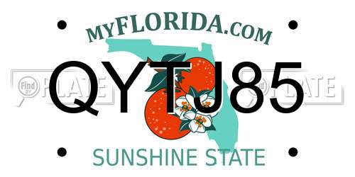 QYTJ85 Florida License Plate