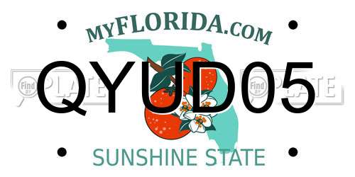 QYUD05 Florida License Plate
