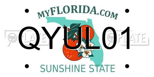 QYUL01 Florida License Plate