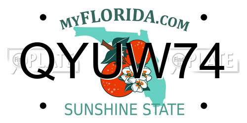 QYUW74 Florida License Plate