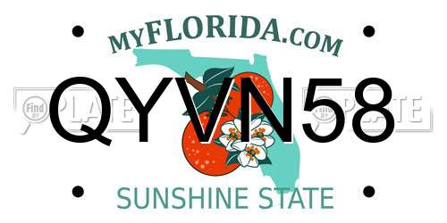 QYVN58 Florida License Plate