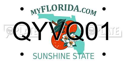 QYVQ01 Florida License Plate