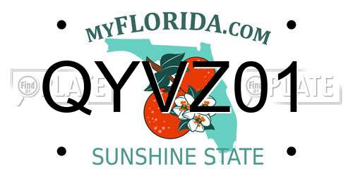 QYVZ01 Florida License Plate