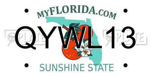 QYWL13 Florida License Plate