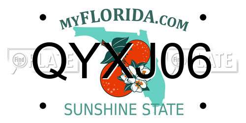 QYXJ06 Florida License Plate