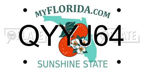 QYYJ64 Florida License Plate
