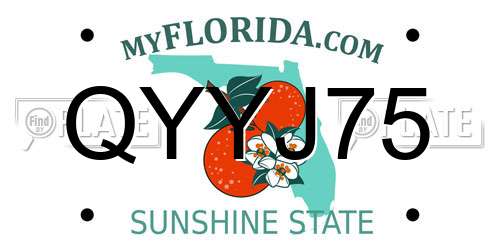 QYYJ75 Florida License Plate