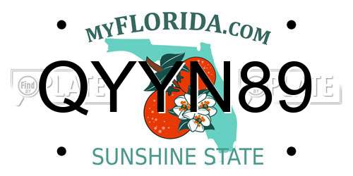 QYYN89 Florida License Plate