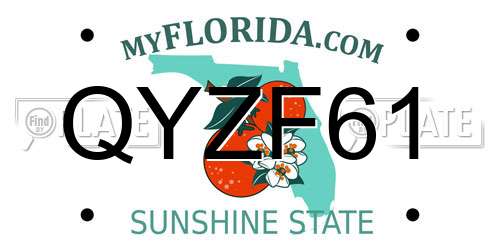 QYZF61 Florida License Plate
