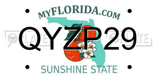 QYZP29 Florida License Plate