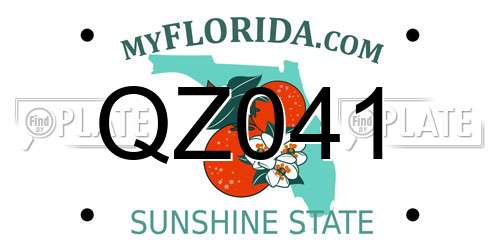 QZ041 Florida License Plate