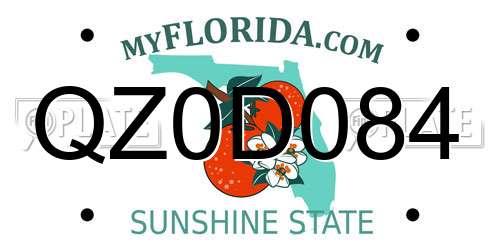 QZ0D084 Florida License Plate