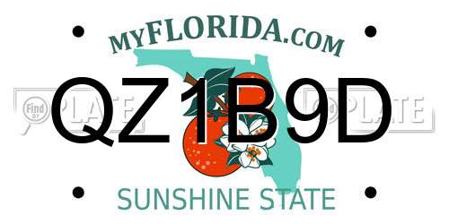 QZ1B9D Florida License Plate