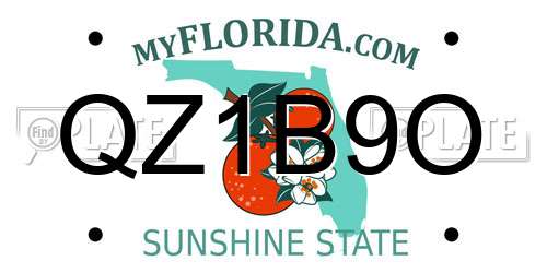 QZ1B9O Florida License Plate