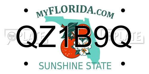QZ1B9Q Florida License Plate