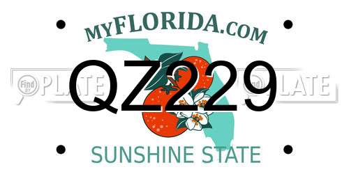 QZ229 Florida License Plate