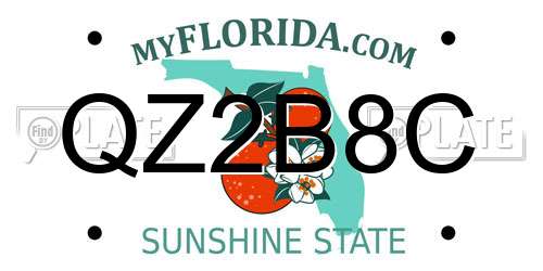 QZ2B8C Florida License Plate