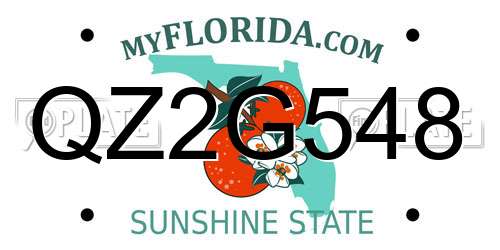 QZ2G548 Florida License Plate