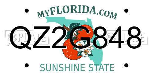 QZ2G848 Florida License Plate