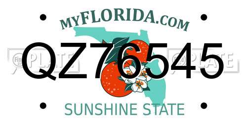 QZ76545 Florida License Plate