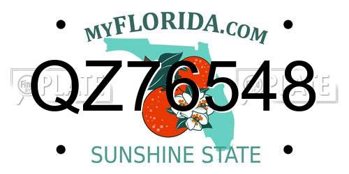 QZ76548 Florida License Plate