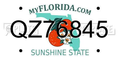 QZ76845 Florida License Plate