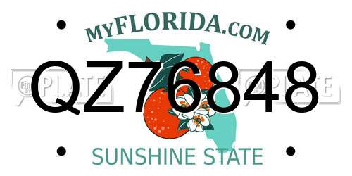 QZ76848 Florida License Plate