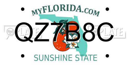 QZ7B8C Florida License Plate