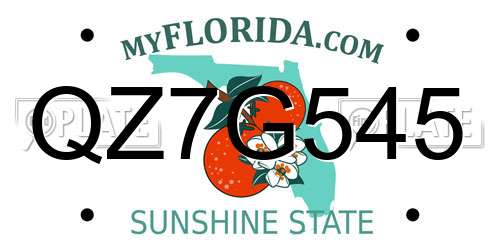 QZ7G545 Florida License Plate