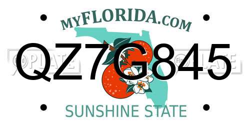 QZ7G845 Florida License Plate