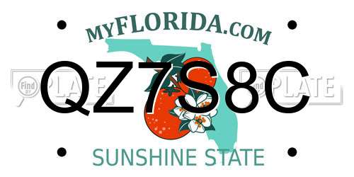 QZ7S8C Florida License Plate