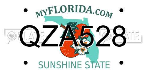 QZA528 Florida License Plate