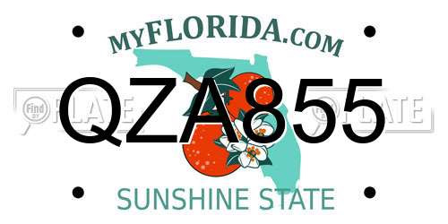 QZA855 Florida License Plate