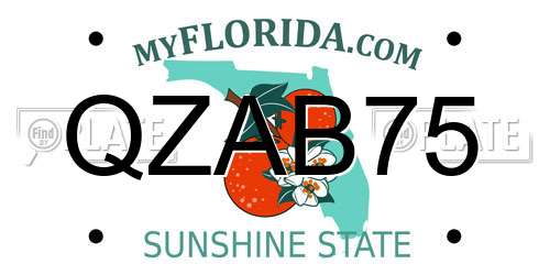 QZAB75 Florida License Plate